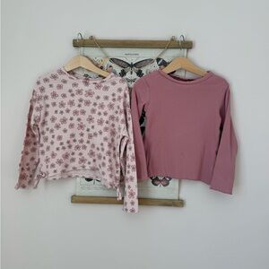 Zara Pink Floral and Solid Long Sleeve Tees